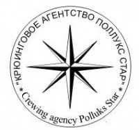 Polluks Star logo